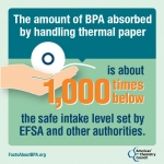 PGG BPA Infographic 1
